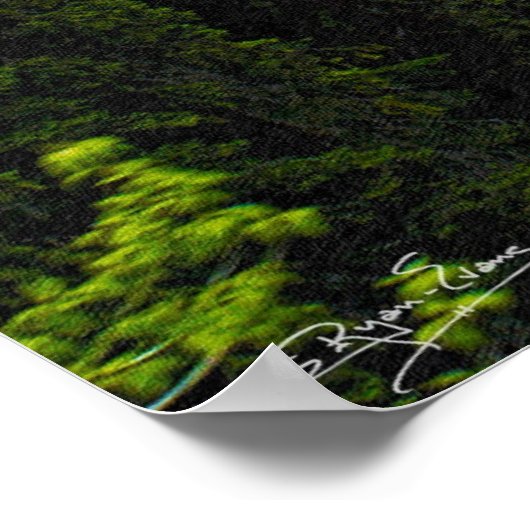 Rocky Mountain Magic Wilderness & Wildlife Poster (Ecke)