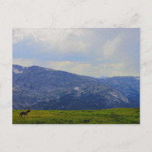 Rocky Mountain National Park, Colorado Postkarte