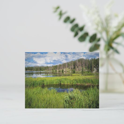 Rocky Mountain National Park, Colorado Postkarte (Stehend Vorderseite)