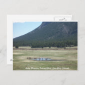 Rocky Mountain National Park in Estes Park, CO Postkarte (Vorne/Hinten)