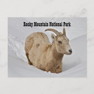 Rocky Mountain Nationalpark California Postkarte