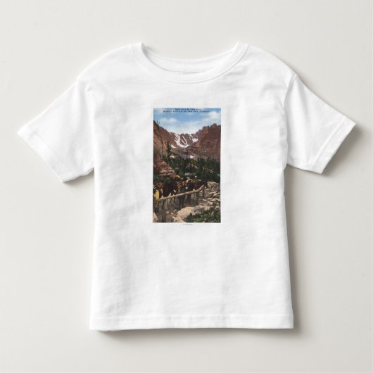Rocky Mountain Nationalpark, Co Kleinkind T-shirt (Vorderseite)