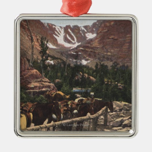 Rocky Mountain Nationalpark, Co Ornament Aus Metall (Vorne)