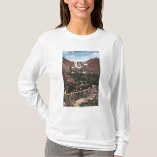 Rocky Mountain Nationalpark, Co T-Shirt
