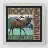 Rocky Mountain Nationalpark | Elch Quadratische Wanduhr (Vorderseite)
