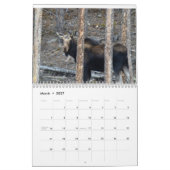 Rocky Mountain Nationalpark-Kalender Kalender (Mär 2027)