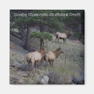 Rocky Mountain Nationalpark-Magneten Magnet