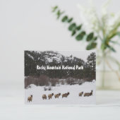 Rocky Mountain Nationalpark Postcard Postkarte (Stehend Vorderseite)