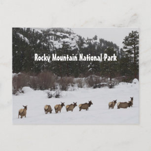Rocky Mountain Nationalpark Postcard Postkarte