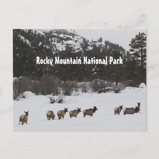 Rocky Mountain Nationalpark Postcard Postkarte (Vorderseite)