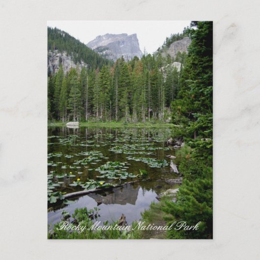 Rocky Mountain Nationalpark Postcard Postkarte (Vorderseite)