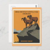 Rocky Mountain Nationalpark Postkarte (Vorne/Hinten)