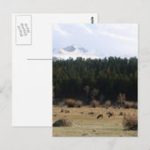 Rocky Mountain Nationalpark Postkarte (Vorne/Hinten)