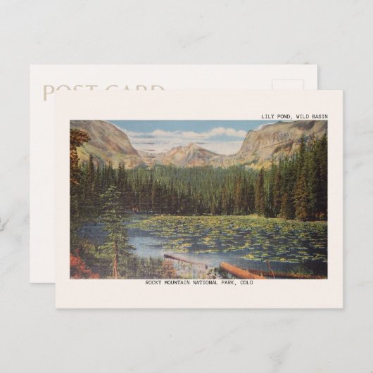 Rocky Mountain Nationalpark Wiles Becken Postkarte (Vorne/Hinten)