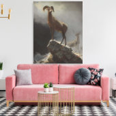 Rocky Mountain Sheep oder Big Horn, Ovis, Montana, Leinwanddruck (Insitu (Wohnzimmer))