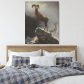 Rocky Mountain Sheep oder Big Horn, Ovis, Montana, Leinwanddruck (Insitu (Schlafzimmer))