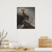 Rocky Mountain Sheep oder Big Horn, Ovis, Montana, Poster (Küche)