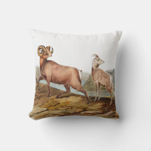 Rocky Mountain Sheep (Ovis montana) Illustration Kissen
