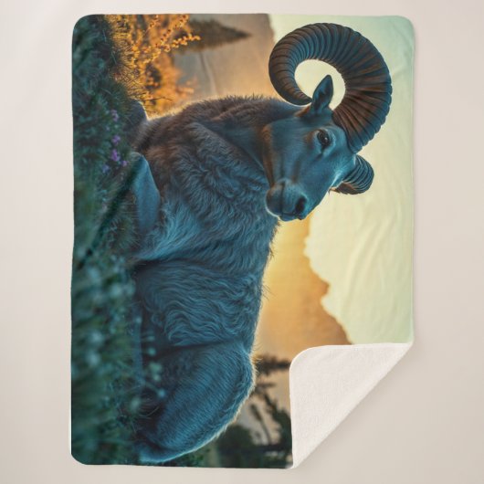 Rocky Mountain Sheep Sherpadecke (Vorderseite)