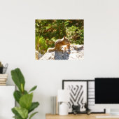 Rocky Mountain-Streifenhörnchen Poster (Heimbüro)