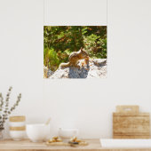 Rocky Mountain-Streifenhörnchen Poster (Küche)