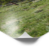 Rocky Mountain View Landschaft Fotodruck (Ecke)