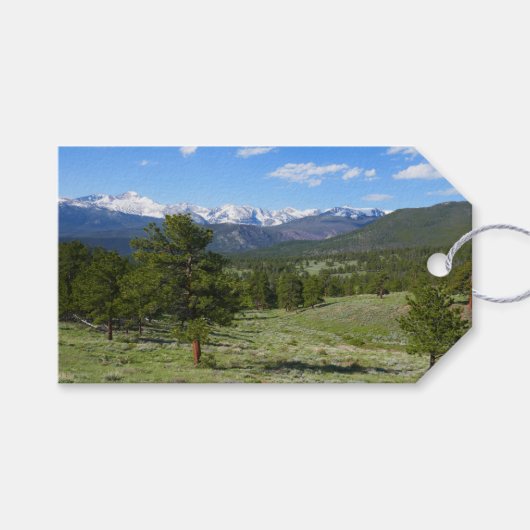 Rocky Mountain View Landschaft Geschenkanhänger (Vorderseite (Horizontal))