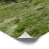 Rocky Mountain View Landschaft Poster (Ecke)