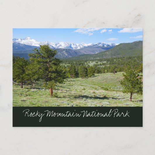 Rocky Mountain View Landschaft Postkarte (Vorderseite)