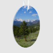Rocky Mountain View Landschaftliche Landschaft Ornament (Vorderseite)