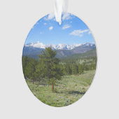 Rocky Mountain View Landschaftliche Landschaft Ornament (Vorderseite)