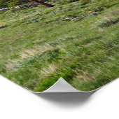 Rocky Mountain View Landschaftliche Landschaft Poster (Ecke)