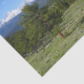 Rocky Mountain View Landschaftliche Landschaft Seidenpapier (Ausschnitt)