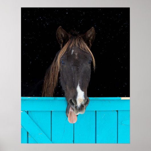 Rocky Mountain Yawn Poster (Vorne)