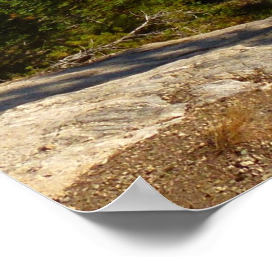 Rocky Mountains Blick im Frühherbst Poster (Ecke)