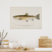 Rocky Mountains Forelle Fische Vintage Kunst Poster (Küche)