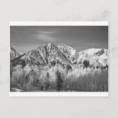 Rocky Mountains Herbst Hoch in Schwarz-Weiß Postkarte (Vorderseite)