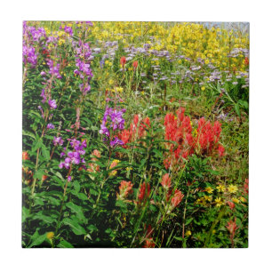 Rocky Mountains-Wildblumen Fliese