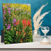 Rocky Mountains-Wildblumen Fotoplatte (Seite)