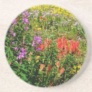 Rocky Mountains-Wildblumen Getränkeuntersetzer
