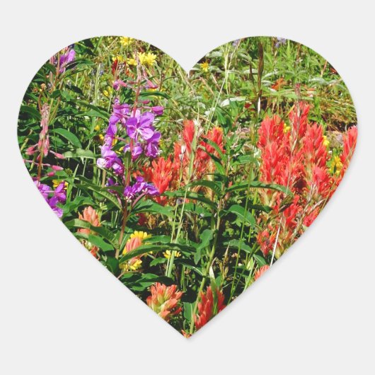 Rocky Mountains-Wildblumen Herz-Aufkleber (Vorderseite)