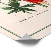 Rocky Mountains-Wildblumen Poster (Ecke)