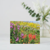Rocky Mountains-Wildblumen Postkarte (Stehend Vorderseite)