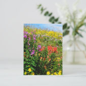 Rocky Mountains-Wildblumen Postkarte (Stehend Vorderseite)