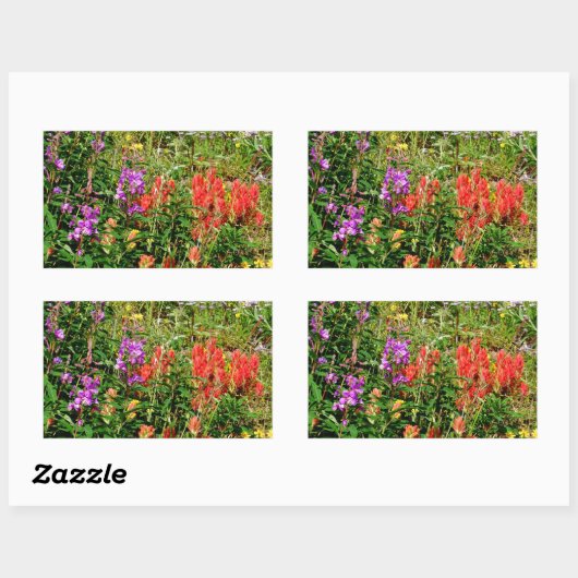 Rocky Mountains-Wildblumen Rechteckiger Aufkleber