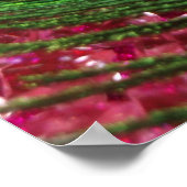 Rocky Pink Peacock Feather Poster (Ecke)