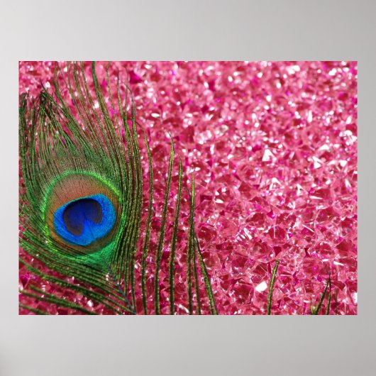 Rocky Pink Peacock Feather Poster (Vorne)