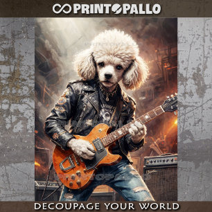 Rocky Poodle spielt Gitarre auf einem Konzert - Seidenpapier