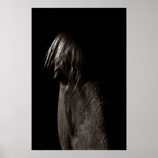 Rocky Poster (Vorne)