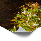 Rocky River, Cleveland, Ohio Poster (Ecke)